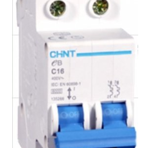 MCB CHINT NXB-125 2P (63,80,100A) 10kA 230V