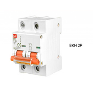 MCB LS BKH 2P 80-100A 10kA 230V